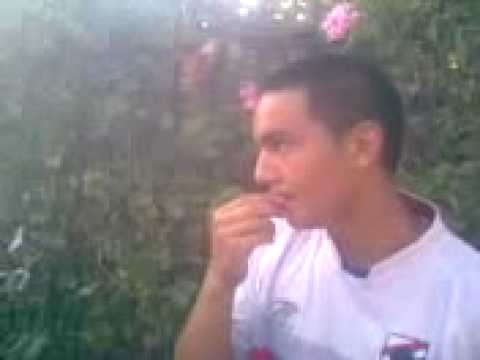 iie oveja zali samapate la planta