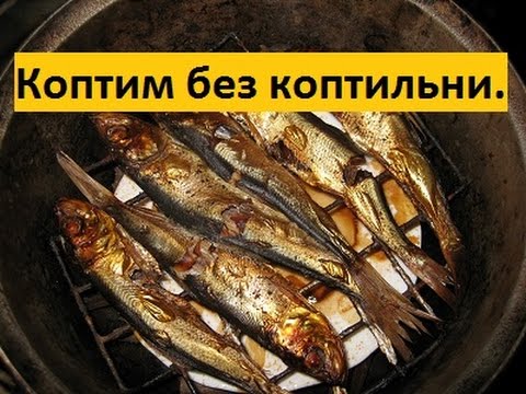 Как коптить рыбу горячего копчения