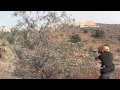 Chasse au sanglier youssef casa 3