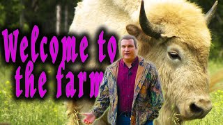 What Is A Beefalo? Welcome To My Family Farm