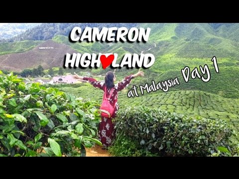 Cameron Highland at Malaysia เที่ยวคาเมรอนไฮแลนด์ ดินแดนแห่งหุบเขา กับทุเรียนอร่อย ๆ l Traveller Me