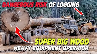 Extreme Dangerous Big Logging Wood! Heavy Equipment Skill Load Super Huge Timber
