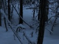 Beautiful Alaska, Cabin Life
