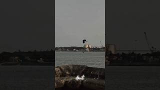 Amake Nao Srikanto Ganga চ