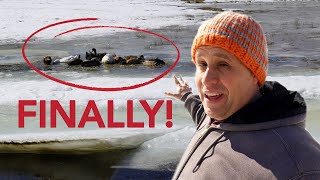 We dug a Duck Pond. It’s FULL now! (Why it takes 9 months)
