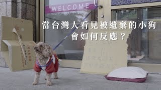 當台灣人看見無助的小狗被當街遺棄,會如何反應?【意義製造 │社會實驗 │流浪貓狗】