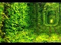 The beautiful nature of Ukraine. The beautiful nature of Ukraine.