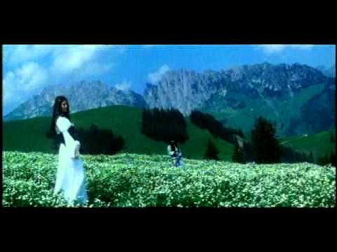 Ek Baat Main Apne Dil Diljale Ft. Ajay Devgan Sonali Benre