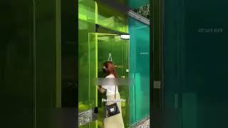 Toilet Transparan Di Jepang