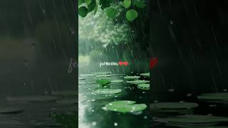 Rain Whatsapp Status