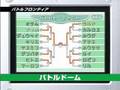 Pokemon Emerald