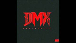 Watch DMX Im Back video