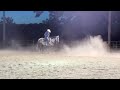 brent bennett rope horses corkey