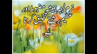 Best Collection In Hazrat Ali Khoobsurat Batain Anmol Moti