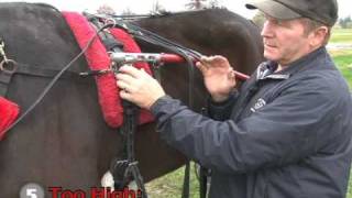 Tips of the Trade - Staying Level -- USTA harness racing Hoof Beats standardbred