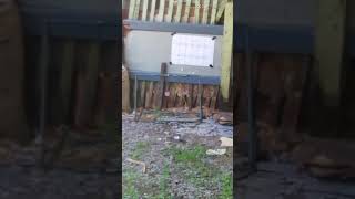 Test Akurasi Sharp Nuris