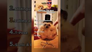 Top 6 Hedgehog Moments That Made Us Laugh