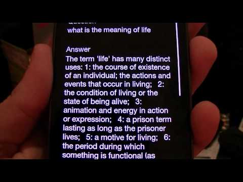 Forex 9lives