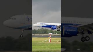 Indigo Landing Airbus-321