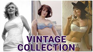Vintage Collection: Iconic Historical Photos & Uncovering The Unseen Vintage Beauty Photographs