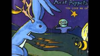 Watch Meat Puppets Monkey Dance video