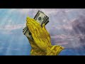 Mormons Their Secret Temple Rites Exposed