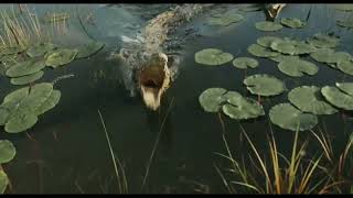 Mufasa The Lion King 2024 Crocodiles Screen Time