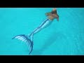 Mermaid Melissa swimming in blue real mermaid tail