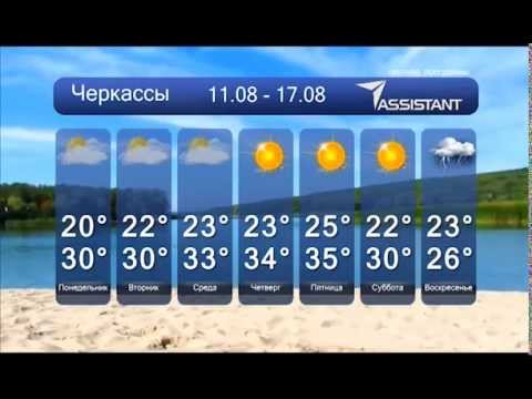 прогноз клева в тальном прогноз клева в тальном