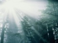 BORKNAGAR - The Plains Of Memories
