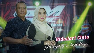 Bidadari Cinta _ GM music _ Pak Lurah ft Bu Lurah