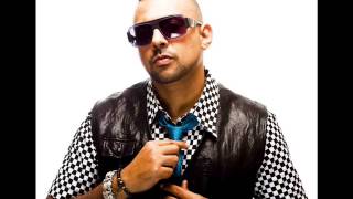 Watch Sean Paul Anyday video