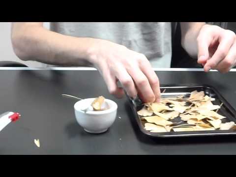 How to make Ginkgo Tea:  The Alternative Healthy Energy Drink!