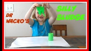 Dr Wackos Mad Lab Silly Sludge Slime