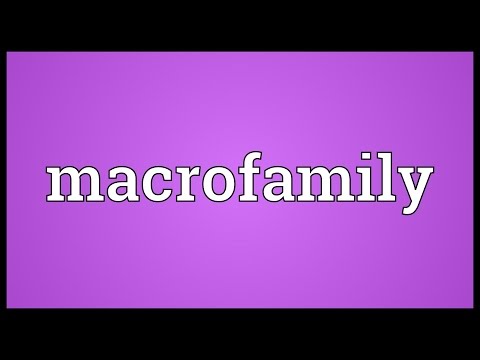 Header of Macrofamily