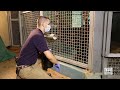 Veterinary Care for Great Apes - Training For The Flu Shot