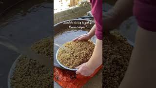 Bulgur Kaynatması