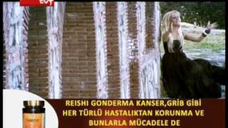 Gamze Ozcelik By Dlwan Ayad Barwari Gamze Ozcelik By Dlwan Ayad Barwari