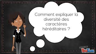 Les Gènes Et Les Allèles
