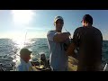 Great Lakes Salmon Fishing