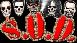 Watch Sod Monkeys Rule video
