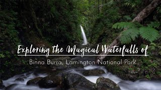 AMAZING Waterfalls in Binna Burra | Lamington National Park