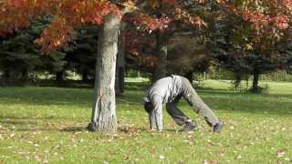 Handstands 20131028 1