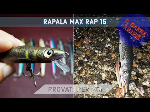 LONG JERK MAX RAP 15 barra KILLER - Pesi Misure Colori, Nuoto, Cattura! - clipangler