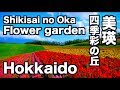 美瑛・四季彩の丘 北海道 Flower garden hill of SHIKISAI ディスカバーニッポン