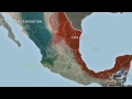 cartels