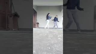 Aattukallil Arachu Ninne Dosa Chuttoolaam Dance Team Cat