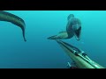 vidéos chasse sous marine hd