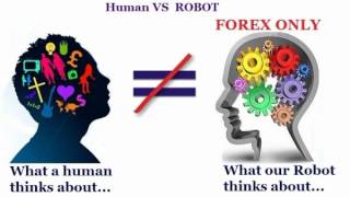 Forex overdrive ea review