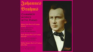 Violin Sonata No. 3 In D Minor, Op. 108 Ii. Adagio